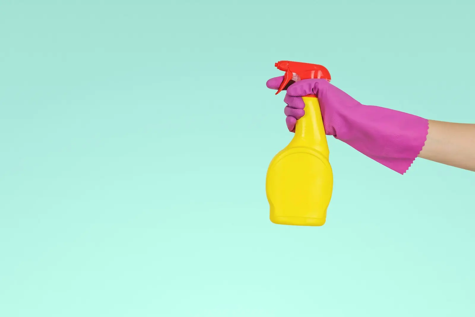 Professional cleaning products ready for a move-in property clean